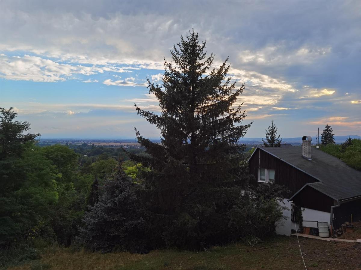 Sunset House Piestany Cervena Veza Lejlighed Banka Eksteriør billede